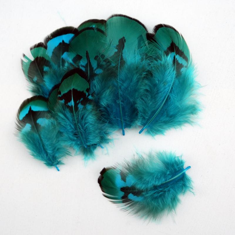 Natural DIY Pheasant Feathers  - Wedding Supply Bulk บทวิจารณ์และราคา