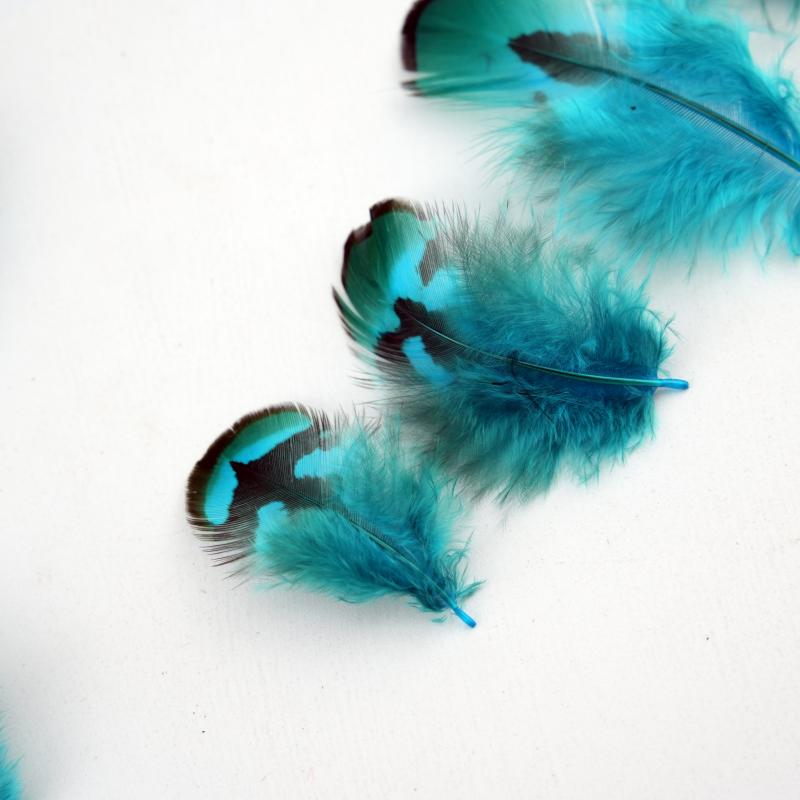 Natural DIY Pheasant Feathers  - Wedding Supply Bulk บทวิจารณ์และราคา