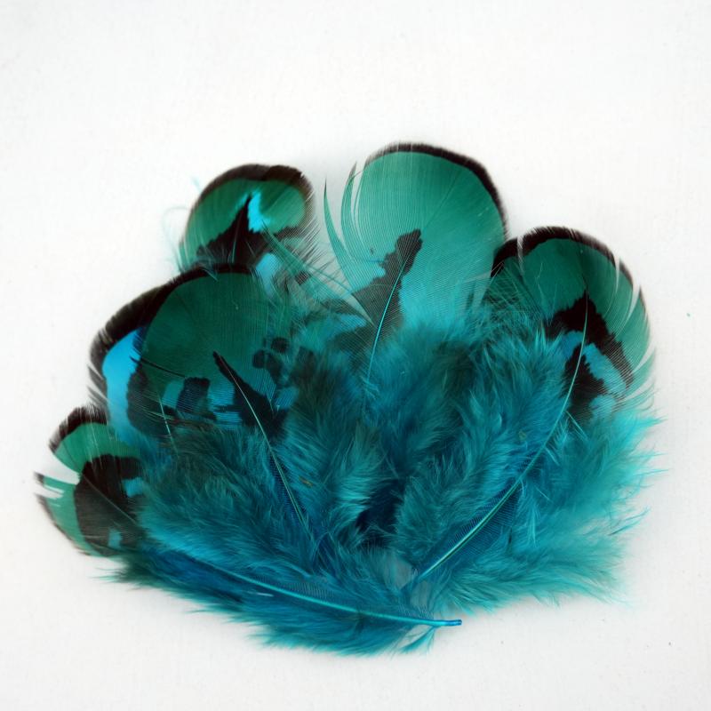 Natural DIY Pheasant Feathers  - Wedding Supply Bulk บทวิจารณ์และราคา