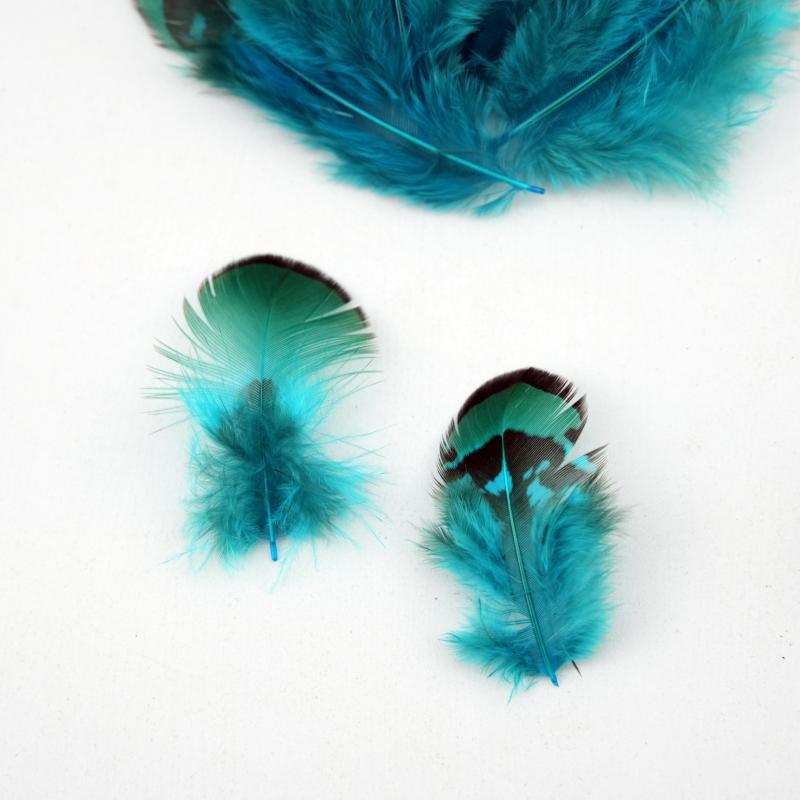 Natural DIY Pheasant Feathers  - Wedding Supply Bulk บทวิจารณ์และราคา