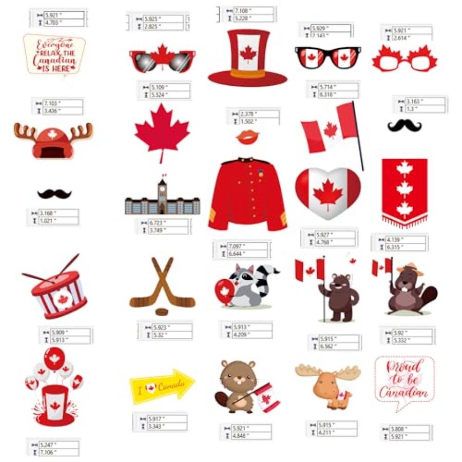 Canada Day Photo Booth Props D - Wedding Supply Canada บทวิจารณ์และราคา