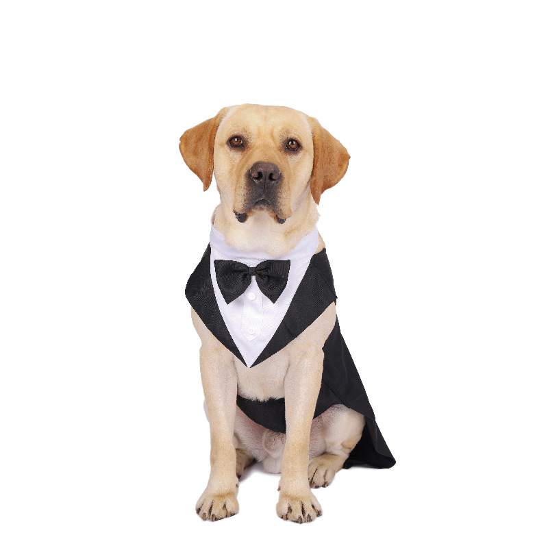 Pet Dog Clothes Fashion Party  - Suit Supply Wedding Party บทวิจารณ์และราคา