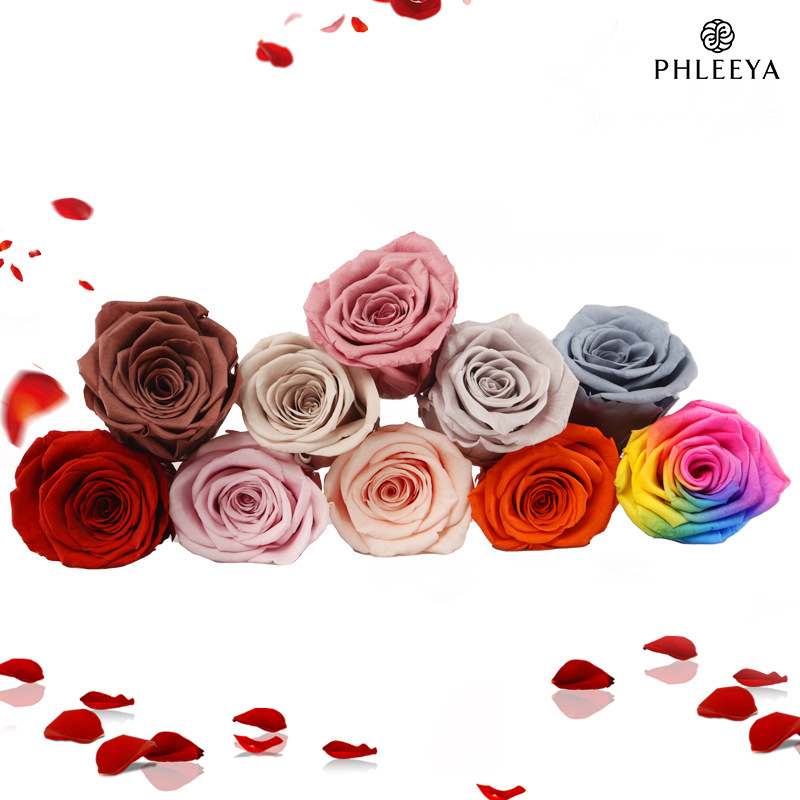 6pcs Eternal Rose Flower Heads - Wedding Supply Bulk บทวิจารณ์และราคา