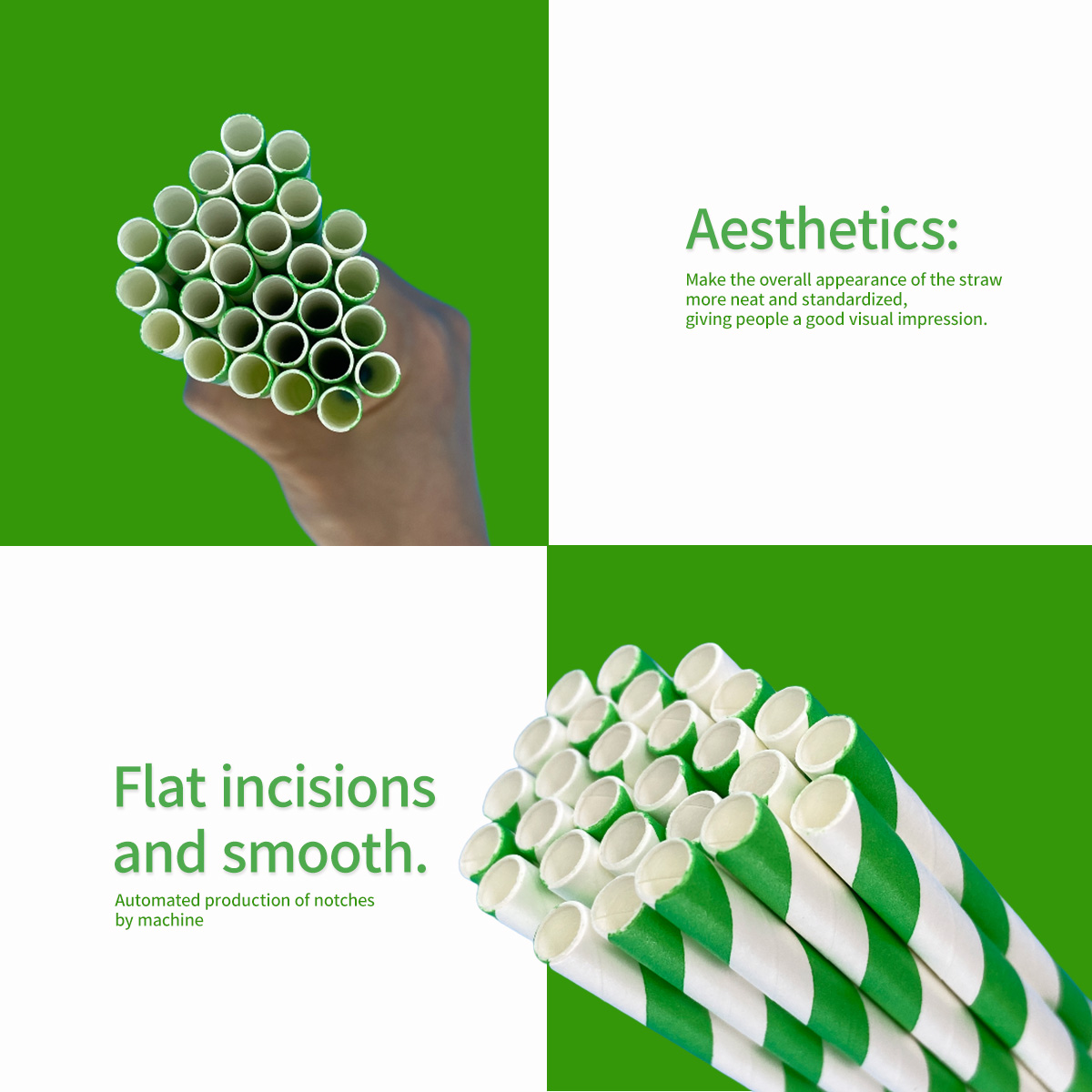 100 Pcs Biodegradable Green an - Wedding Supply Bulk บทวิจารณ์และราคา